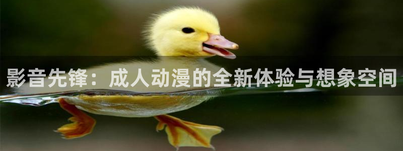 ai动漫屋：影音先锋：成人动漫的全新体验与想象空间